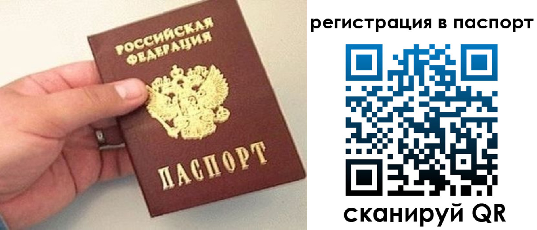 прописка законно в Калининске